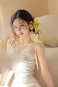 用于中国版FSD（FullSelf-D